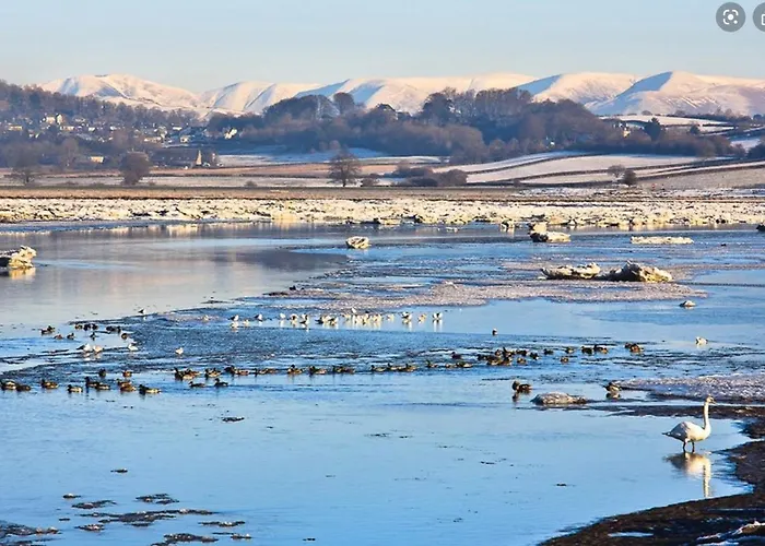 Feriehus Milo's Retreat *