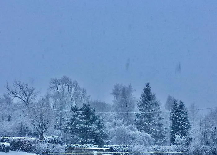 Feriehus Milo's Retreat