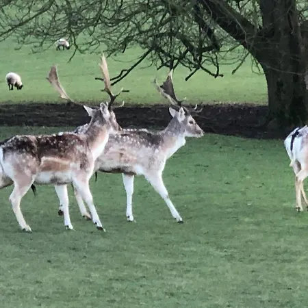 Milo's Retreat Vakantiehuis