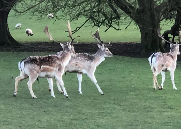 Milo's Retreat Vakantiehuis